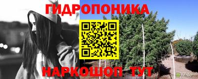 гашик Анжеро-Судженск