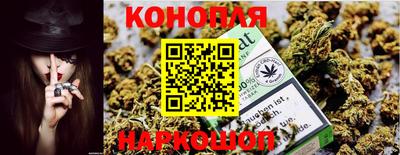 мдпв Анапа