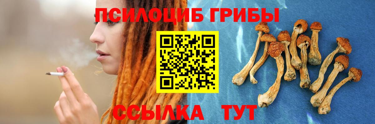 Псилоцибиновые грибы Psilocybine cubensis Нефтеюганск